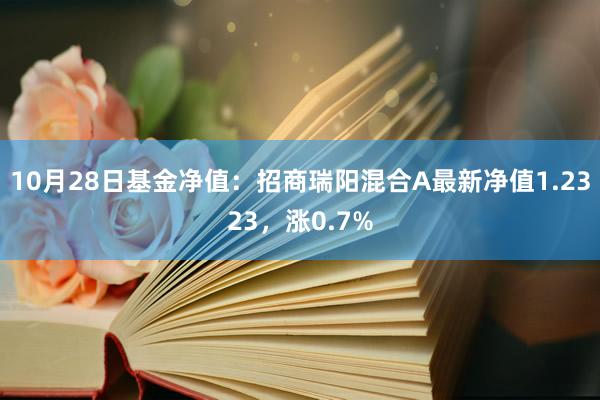 10月28日基金净值：招商瑞阳混合A最新净值1.2323，涨0.7%