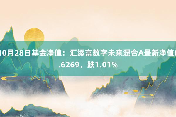 10月28日基金净值：汇添富数字未来混合A最新净值0.6269，跌1.01%