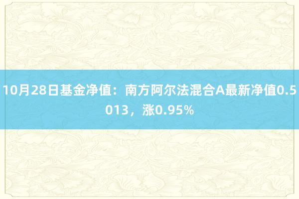 10月28日基金净值：南方阿尔法混合A最新净值0.5013，涨0.95%