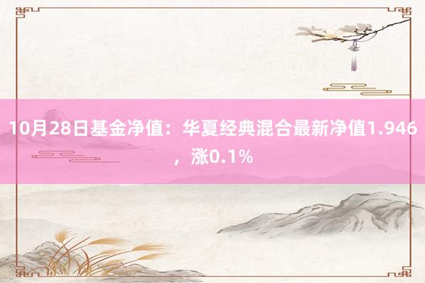 10月28日基金净值：华夏经典混合最新净值1.946，涨0.1%