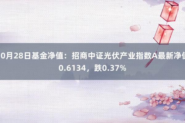 10月28日基金净值：招商中证光伏产业指数A最新净值0.6134，跌0.37%