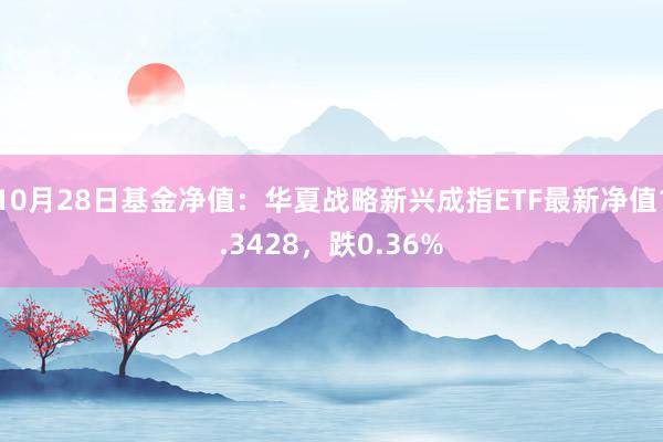 10月28日基金净值：华夏战略新兴成指ETF最新净值1.3428，跌0.36%