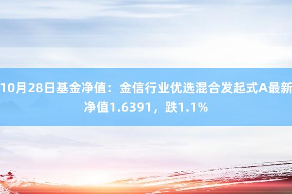 10月28日基金净值：金信行业优选混合发起式A最新净值1.6391，跌1.1%