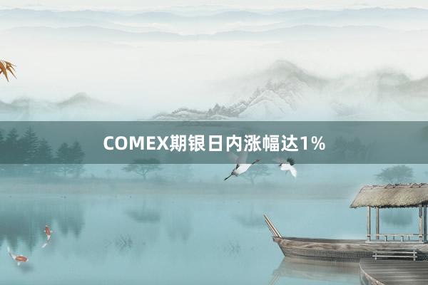 COMEX期银日内涨幅达1%