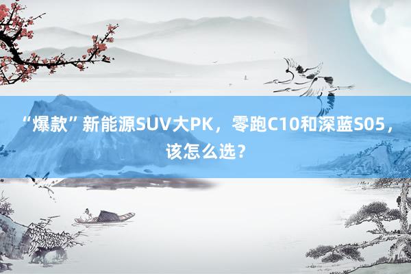 “爆款”新能源SUV大PK，零跑C10和深蓝S05，该怎么选？