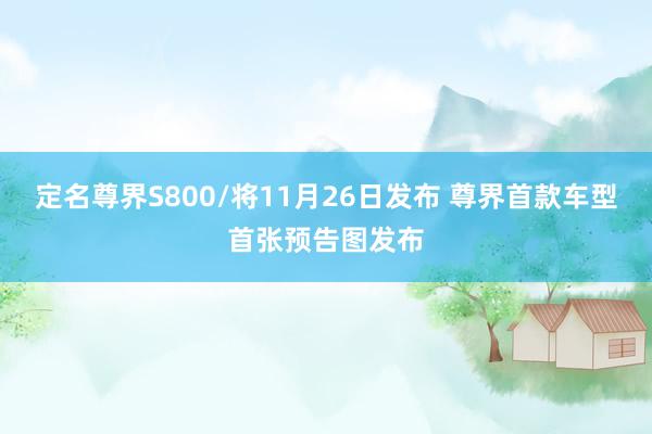 定名尊界S800/将11月26日发布 尊界首款车型首张预告图发布