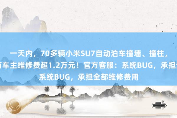 一天内，70多辆小米SU7自动泊车撞墙、撞柱，视频曝光！有车主维修费超1.2万元！官方客服：系统BUG，承担全部维修费用