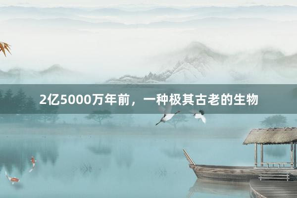 2亿5000万年前，<a href=