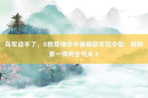 乌军动手了，8枚导弹命中俄朝联军司令部：朝鲜第一悍将生死未卜