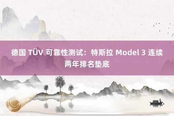 德国 TÜV 可靠性测试：特斯拉 Model 3 连续两年排名垫底