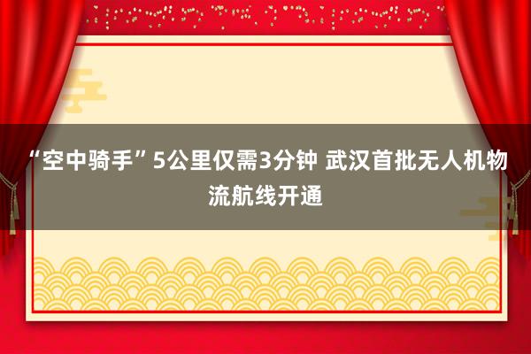 “空中骑手”5公里仅需3分钟 武汉首批无人机物流航线开通