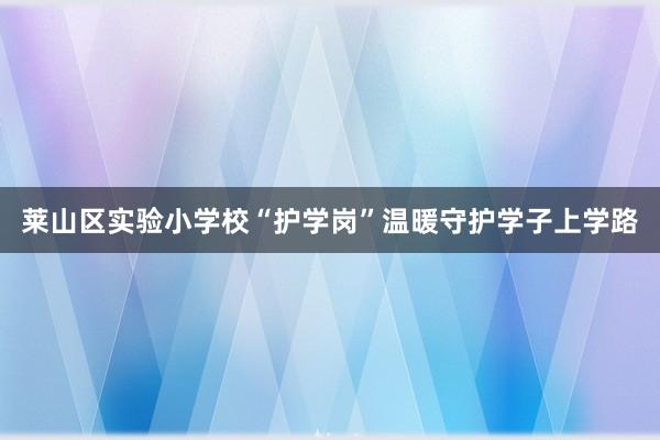 莱山区实验小学校“护学岗”温暖守护学子上学路