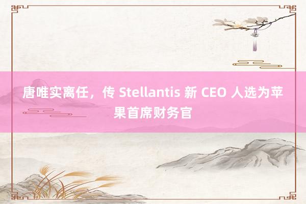 唐唯实离任，传 Stellantis 新 CEO 人选为苹果首席财务官