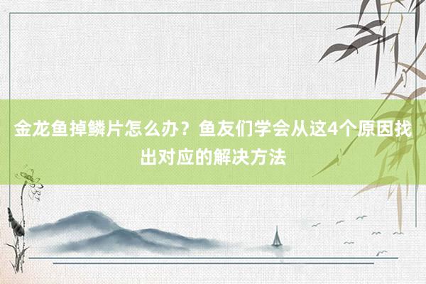 金龙鱼掉鳞片怎么办？鱼友们学会从这4个原因找出对应的解决方法