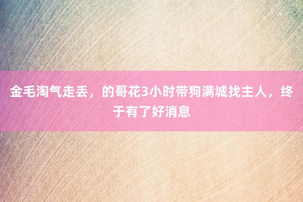 金毛淘气走丢，的哥花3小时带狗满城找主人，终于有了好消息